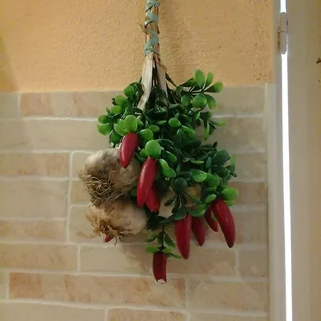 Apartment Lamarmora 58